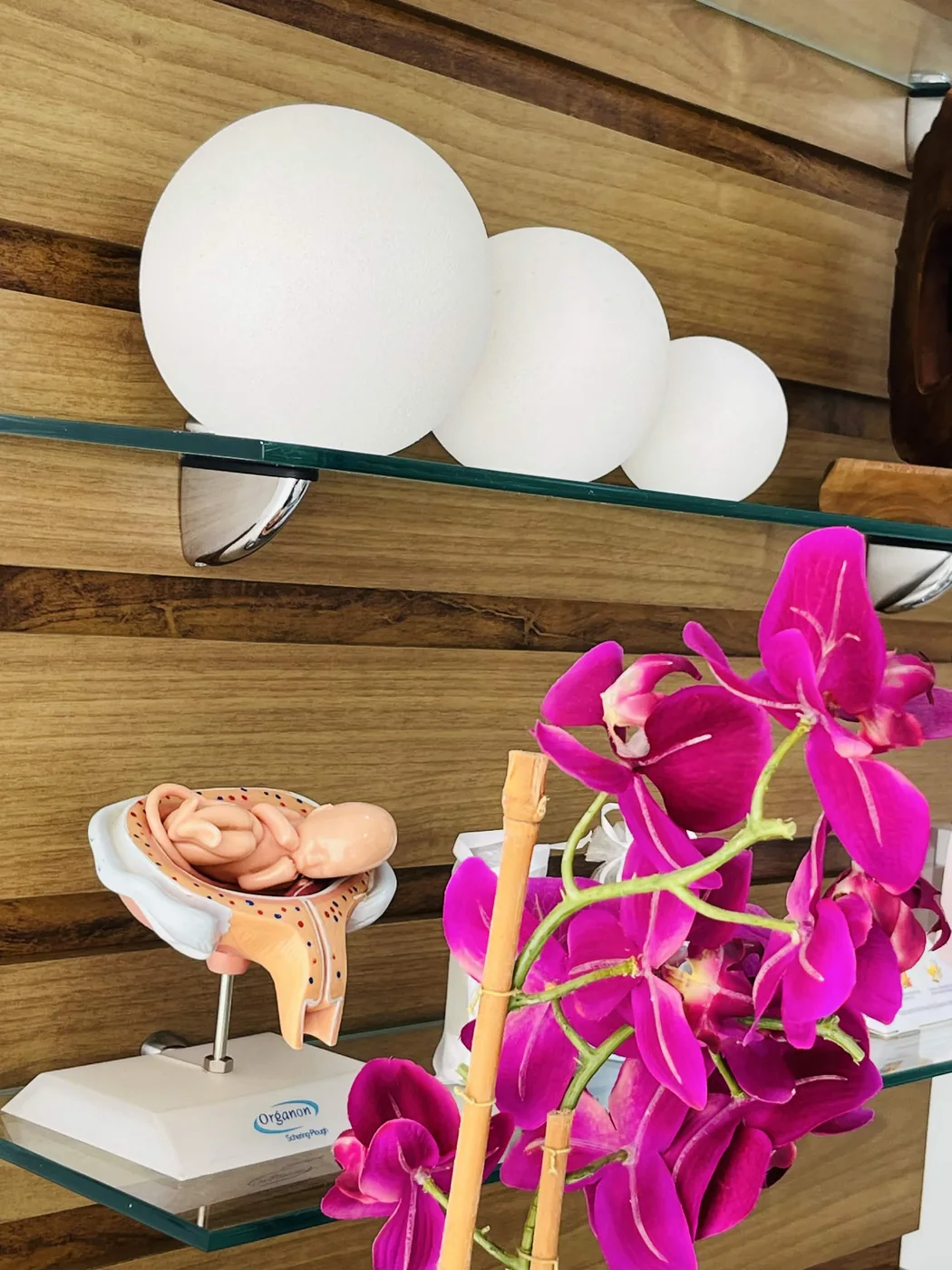Detalhes do consultório com materiais ginecológicos e orquídea
